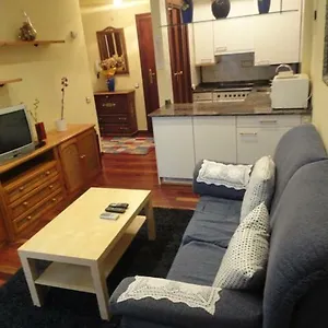  Apartment Apartamento Centro